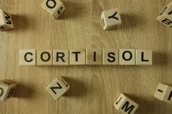 The Hidden Connection: How Stress Shapes Your Fitness and Body Composition 2 Image saying "Cortisol" and how stress Chigwell impacts your wellbeing and bodies shape